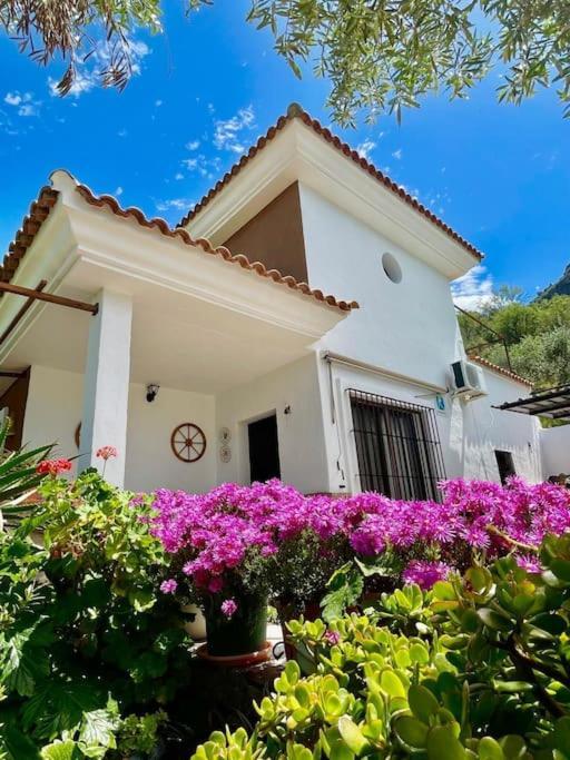 エル・ガストル Casa La Rocaヴィラ エクステリア 写真